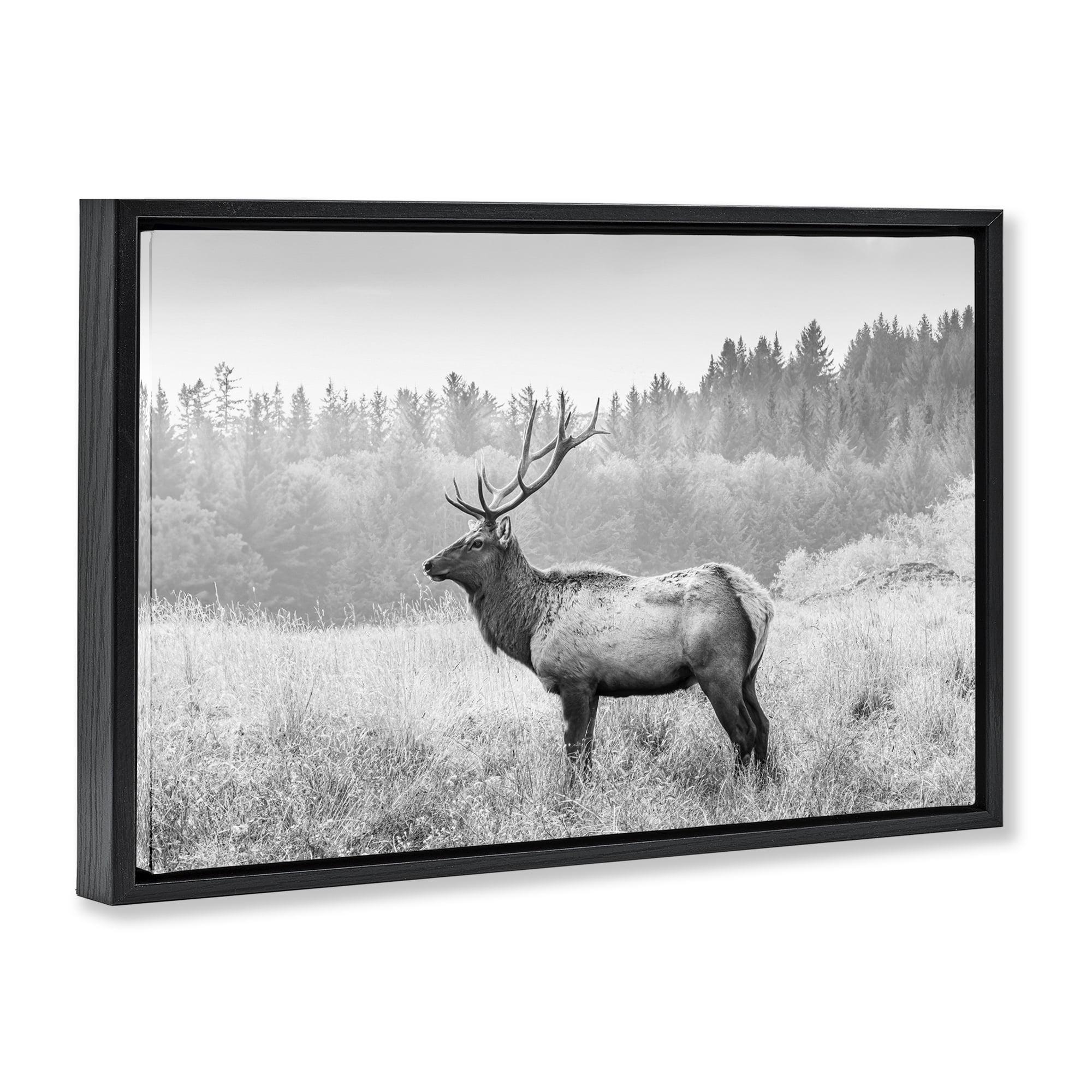 Stupell Industries Stoic American Elk Landscape & Nature Photography Black Floater Framed Canvas Art Print Wall Art, 25 x 17