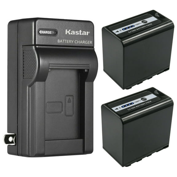 Kastar 2-Pack Battery and AC Wall Charger Replacement for Panasonic AG-DVX200EN, AG-DVX200ED, AJ-PCS060, AJ-PX230, AJ-PX270, AJ-PX270PJ, AJ-PX298, AJ-PX298MC, AJ-UX90, AJ-UX180, HC-X1, LUMIX BGH1
