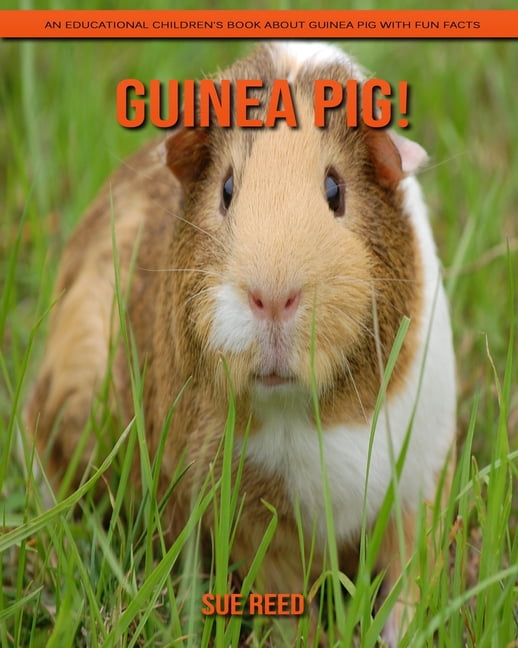 Fluffy the guinea pig books picture