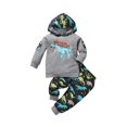 thumbnail image 1 of FOCUSNORM Dinosaur & Letter Print Long Sleeve Hooded Sweater + Trousers, 1 of 8