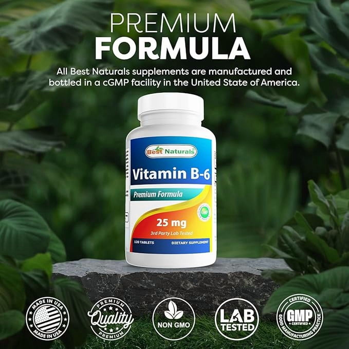 Best Naturals No Lactose, Vitamin B6, 25mg, 120 Tablet Count