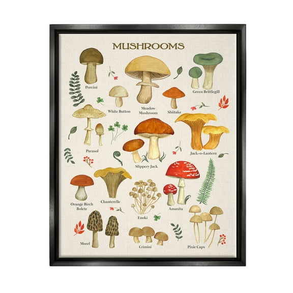 Stupell Industries Foraging Mushrooms Studies Botanical & Floral Painting Black Floater Framed Art Print Wall Art, 17 x 21