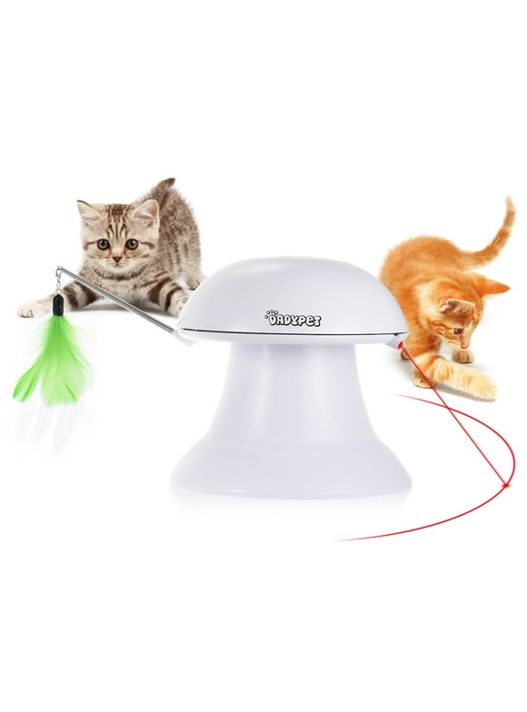 Cat Laser Toys in Cat Toys