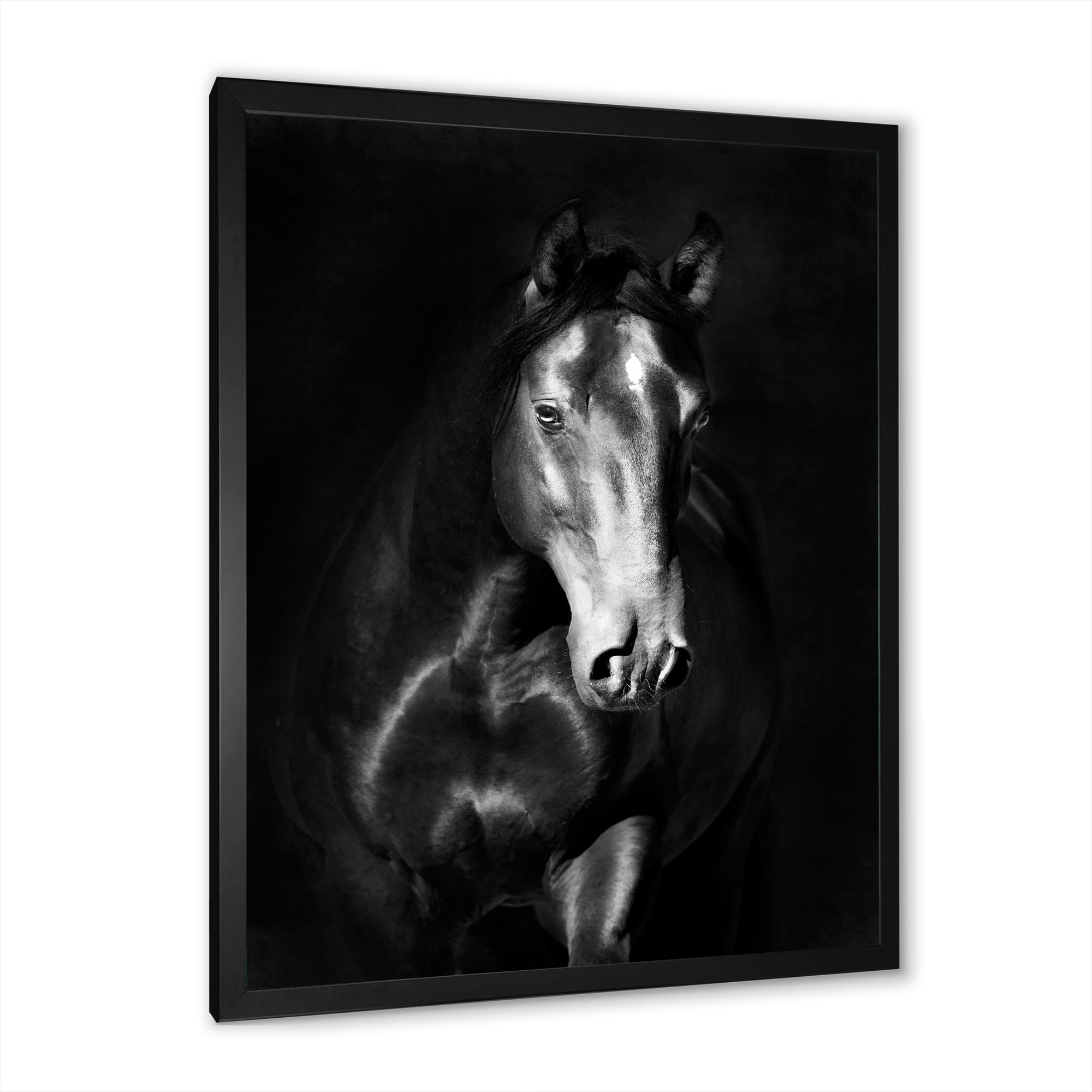 Designart 'Close Up Portrait Of Black Kladruby Horse' Farmhouse Framed Art Print