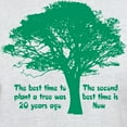 thumbnail image 3 of CafePress - Plant A Tree Now T Shirt - Men's Classic Graphic T-Shirt, 3 of 4