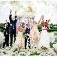 thumbnail image 4 of 500 Unids Pétalos de Seda Pétalo Artificial para el Banquete de Boda Home Hotel Decoración del Día de San ValentíN,, 4 of 5
