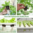 thumbnail image 3 of 100Pcs Grow Orchids Wide Lip Universal Hydroponics Cups Planting Mesh Pot Soilless Net Basket Slotted Container Colonization Black, 3 of 4