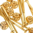 thumbnail image 4 of SWETRACE 10Jgo Conjunto De Tornillos Y Tuercas De Para Uso En Tetera Estable Y Duradero Dorado, 4 of 7