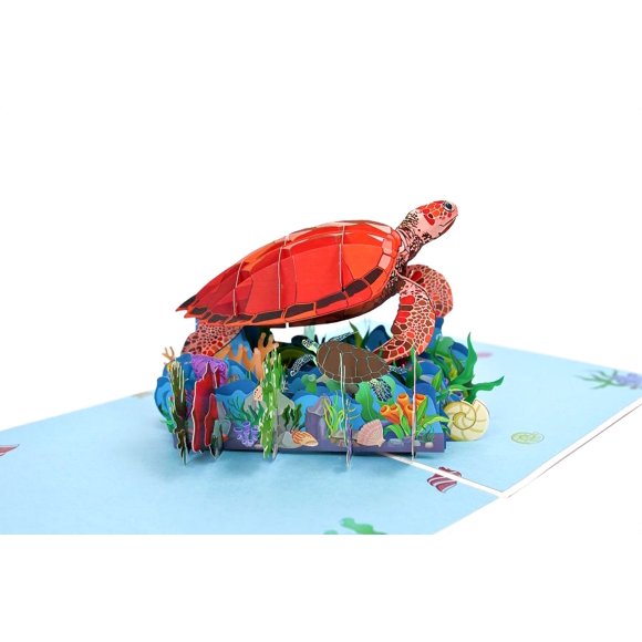 Turtle Pop Up Card, 3D Turtle Birthday Card, Get Well, Congratulations Card, Thank You, Anniversary, Just Because, Christmas, Card For Friend, Mom, Wife, Dad, Family, Nephew, Niece
