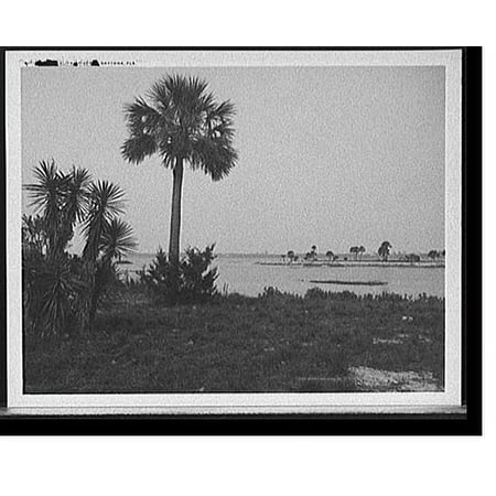 Historic Print, Halifax River, Daytona, Fla., 16" x 20"