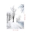 thumbnail image 3 of ABPHOTO Polyester Backdrop for Photography Winter Nature Scenery Photographic Background Snowman Foto for Fond Studio Photos Photoshoot 5x7ft, 3 of 4
