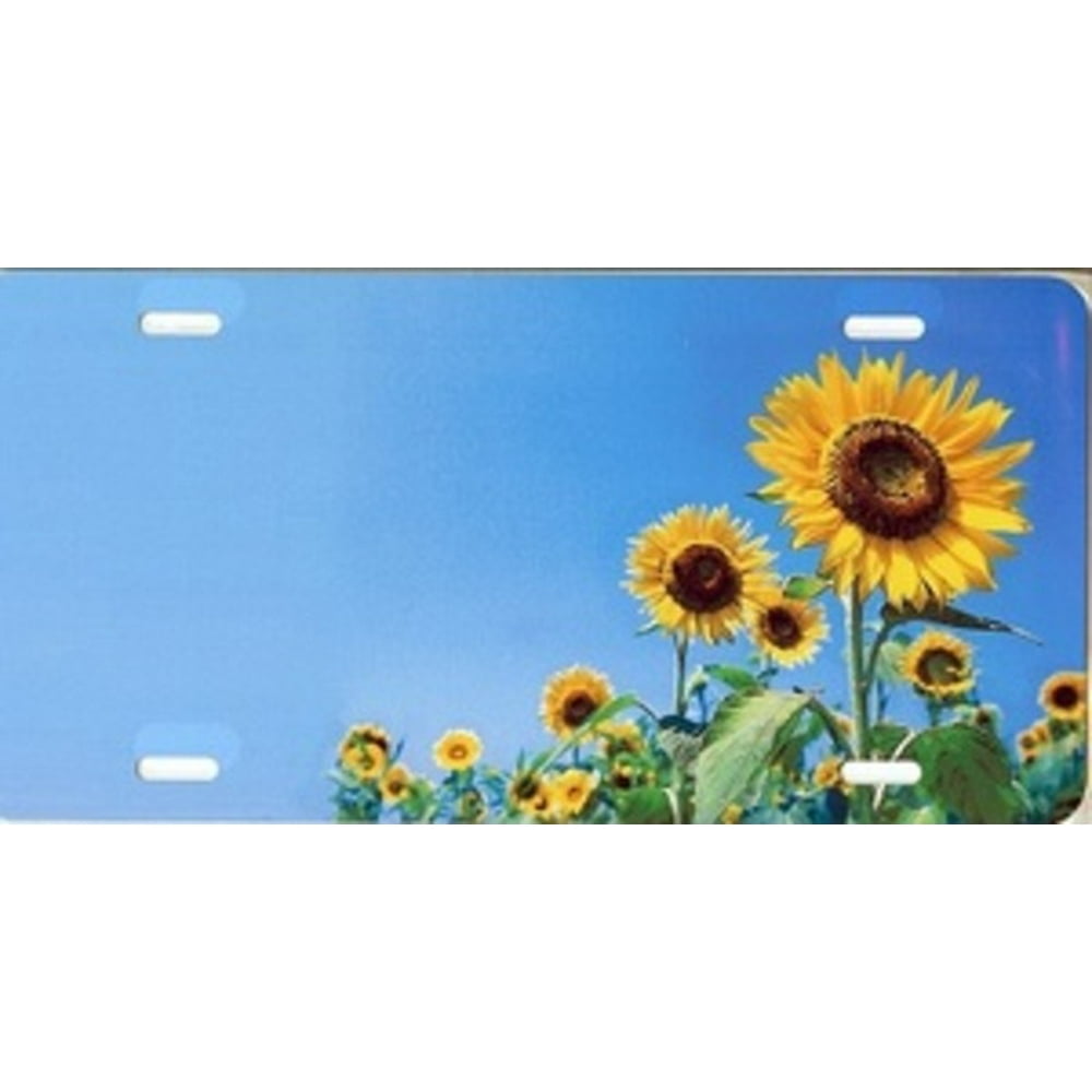 Offset Sunflower on Blue License Plate Free Personalization on this