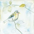 thumbnail image 2 of Schlabach, Sue 12x12 Black Ornate Wood Framed with Double Matting Museum Art Print Titled - Sketched Songbird I, 2 of 4