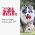 thumbnail image 3 of Juguete para perros KONG Classic Fetch & Chew Stuffable para tamaño extra grande, 3 of 9