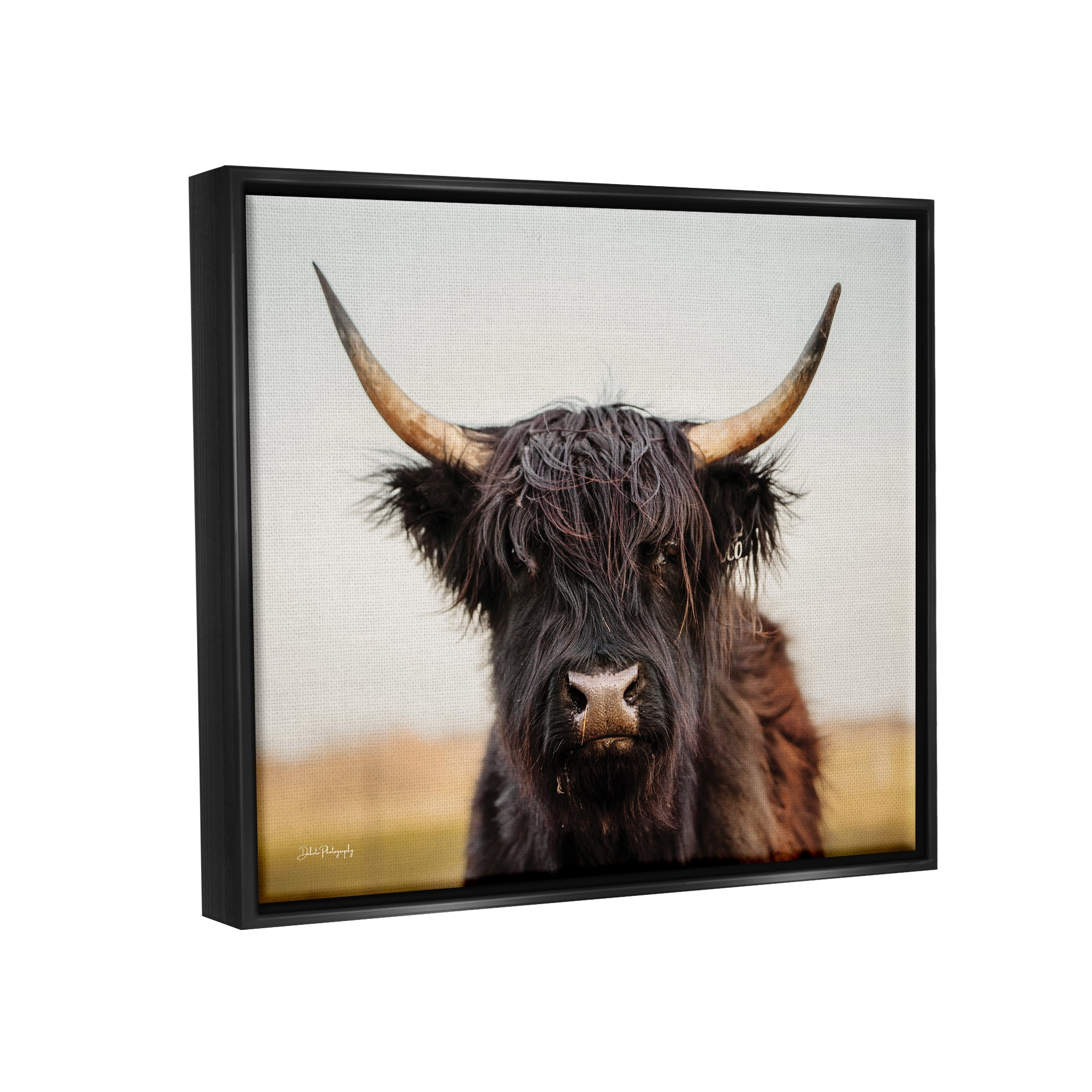 Stupell Industries Black Highland Cow Portrait Animals & Insects Photography Black Floater Framed Art Print Wall Art, 31 x 25