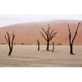 thumbnail image 2 of Kaveney, Wendy 18x13 Gold Ornate Wood Framed with Double Matting Museum Art Print Titled - Namibia, Namib-Naukluft, Deadvlei Misty Morning, 2 of 4