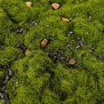 thumbnail image 2 of segolike Ground Grass 50G for Wargame Spring, 2 of 7