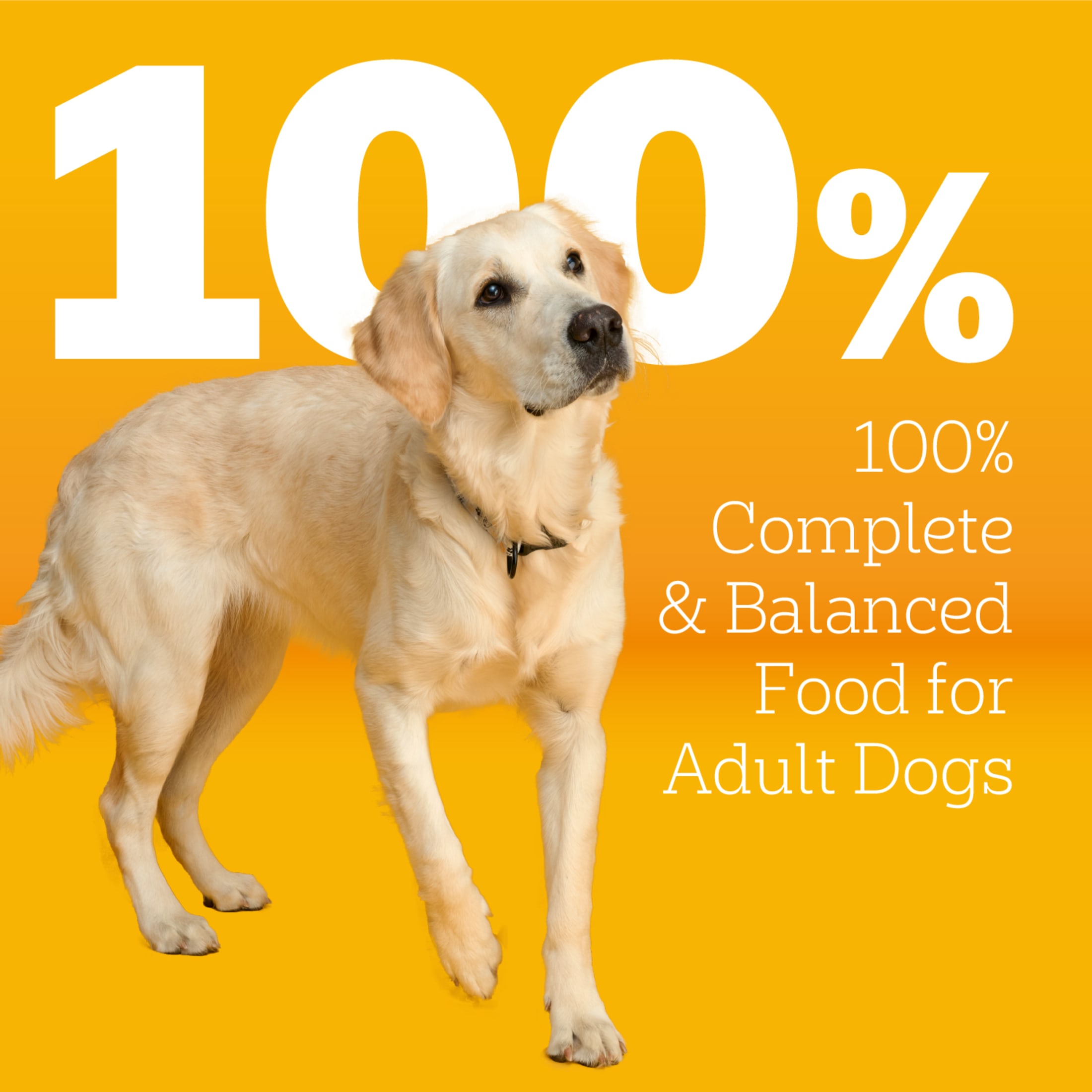 Pedigree Large Breed Dry Dog Food Roasted Chicken, Rice & Vegetable, 40 Lb photo 4