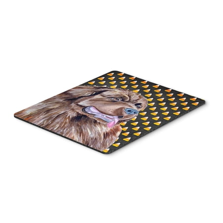 Newfoundland Candy Corn Halloween Portrait Mouse Pad Hot Pad or Trivet price history on PriceWatchPro