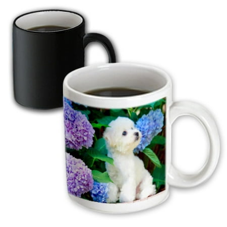 3dRose Adorable Bichon Frise Puppy Among Hydrangeas - Magic Transforming Mug, (Best Bichon Frise Breeders)