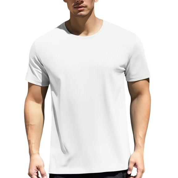 Men's Summer Short Sleeve T-Shirt Ice Silk Breathable Athletic Muscle Fit Casual Sports Top Lightweight Comfortable Tee Mens Basic Tee Shirts Summer Classic T-Shirts