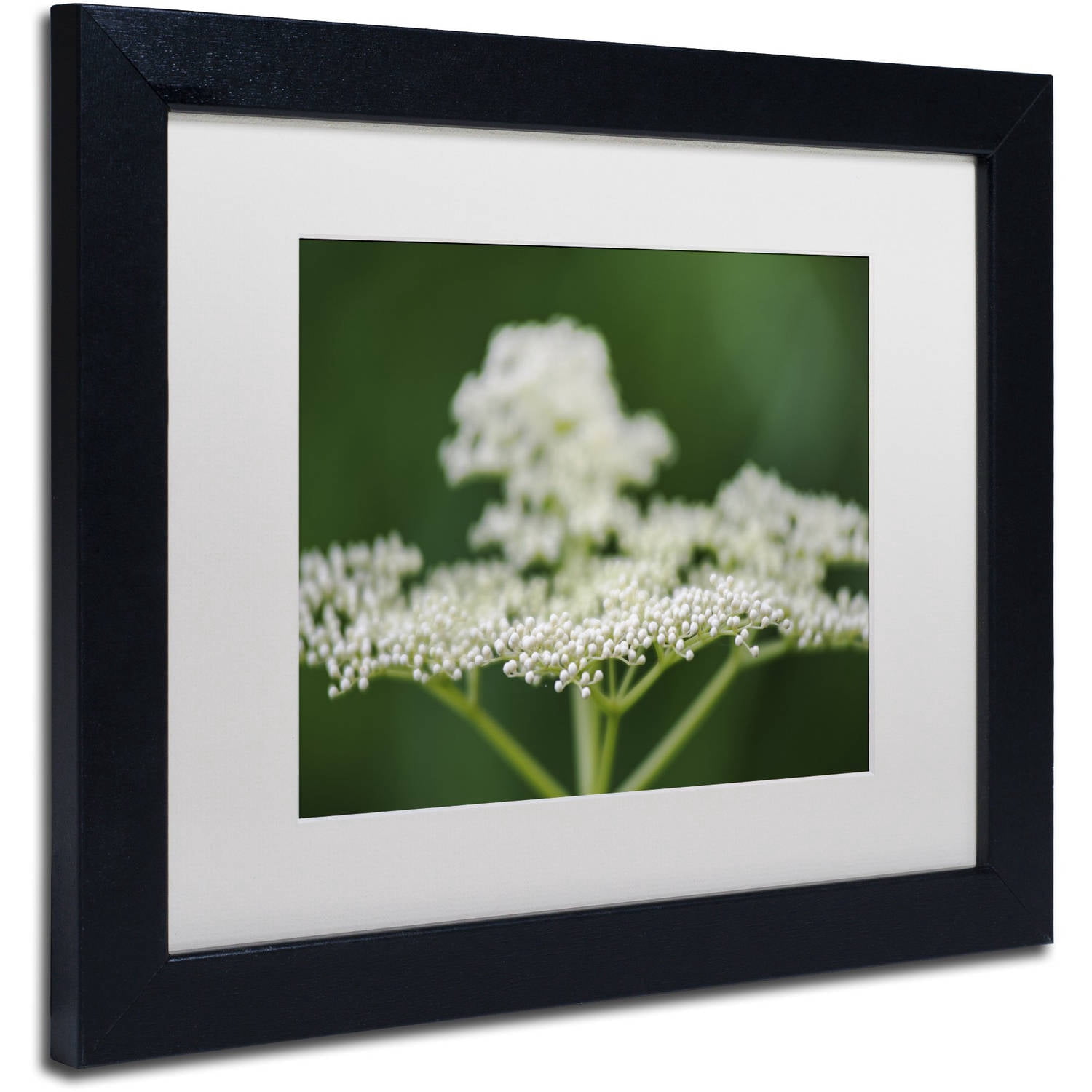 Trademark Fine Art "Nature is Amazing" Canvas Art by Kurt Shaffer, White Matte, Black Frame