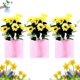 thumbnail image 1 of Adhesivo mágico de silicona para florero, florero de silicona reutilizable y extraíble, adhesivo autoadhesivo para montaje en pared para decoración del hogar y la oficina, regalo ideal (3 piezas-C), 1 of 6