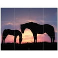 thumbnail image 1 of Horse Photo Ceramic Tile Mural Kitchen Backsplash Bathroom Shower 405253-XL43, 1 of 3