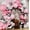 Pink, White, Pastel Pink, variant on 2026 New Red Black White Balloon Arch Kit, All-in-One Balloon Garland for Birthday, Graduation and Party Decor