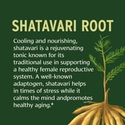 Banyan Botanicals Shatavari Powder – Organic Asparagus Racemosus Root Powder – Rejuvenating Adaptogen Tonic That Supports a Healthy Reproductive System* – 3.5 oz. – Non-GMO Sustainably Sourced Vegan