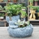 thumbnail image 3 of Maceta de Cactus suculentas en apariencia de loto/macetas/contenedor para la decoración del escritorio de del jardín para hogar shamjiam Maceta suculenta, 3 of 7