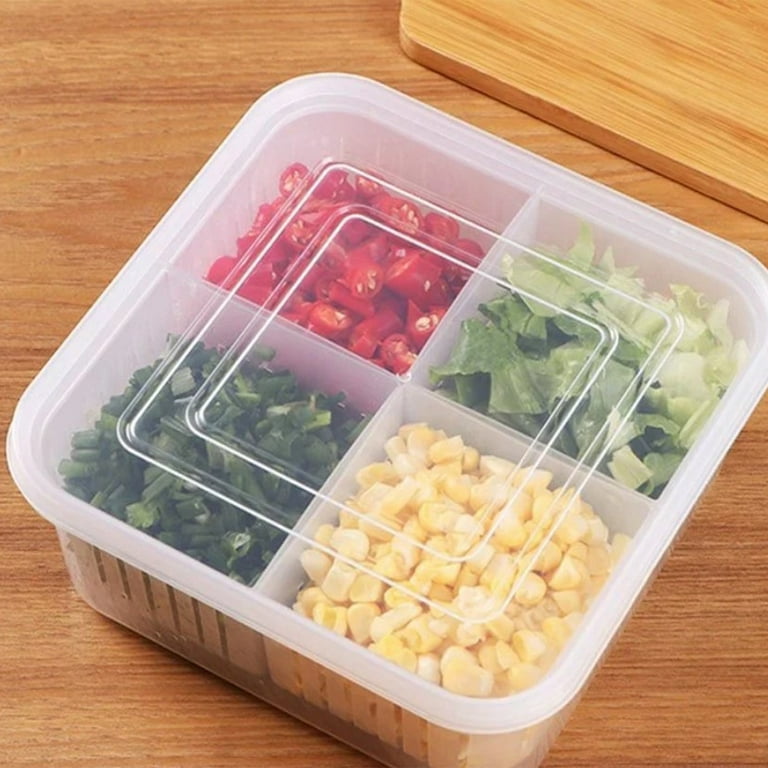 1pc Refrigerator Storage Box For Frozen Food, Sealed Preservation Container  With Partition For Onion, Ginger, Fruit And Vegetables, Blue/yellow  Optional