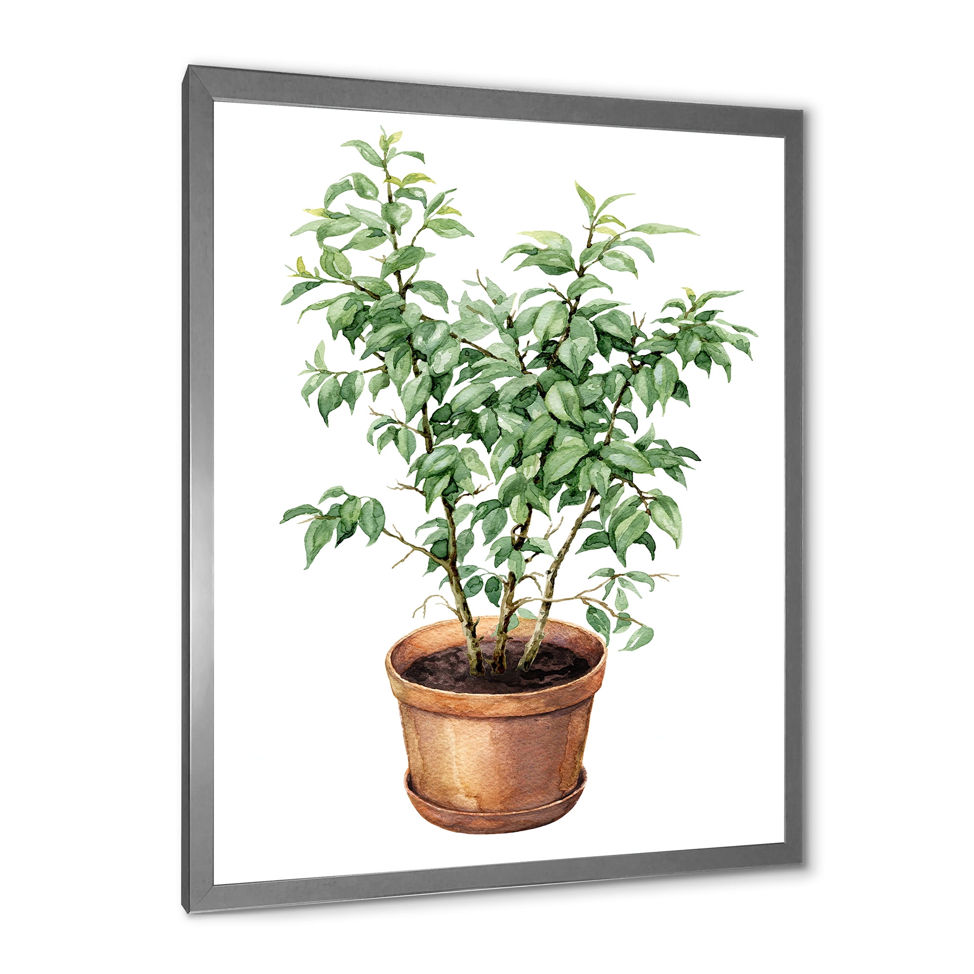 Designart 'Ficus Benjamina Plant In Clay Flowerpot' Traditional Framed Art Print