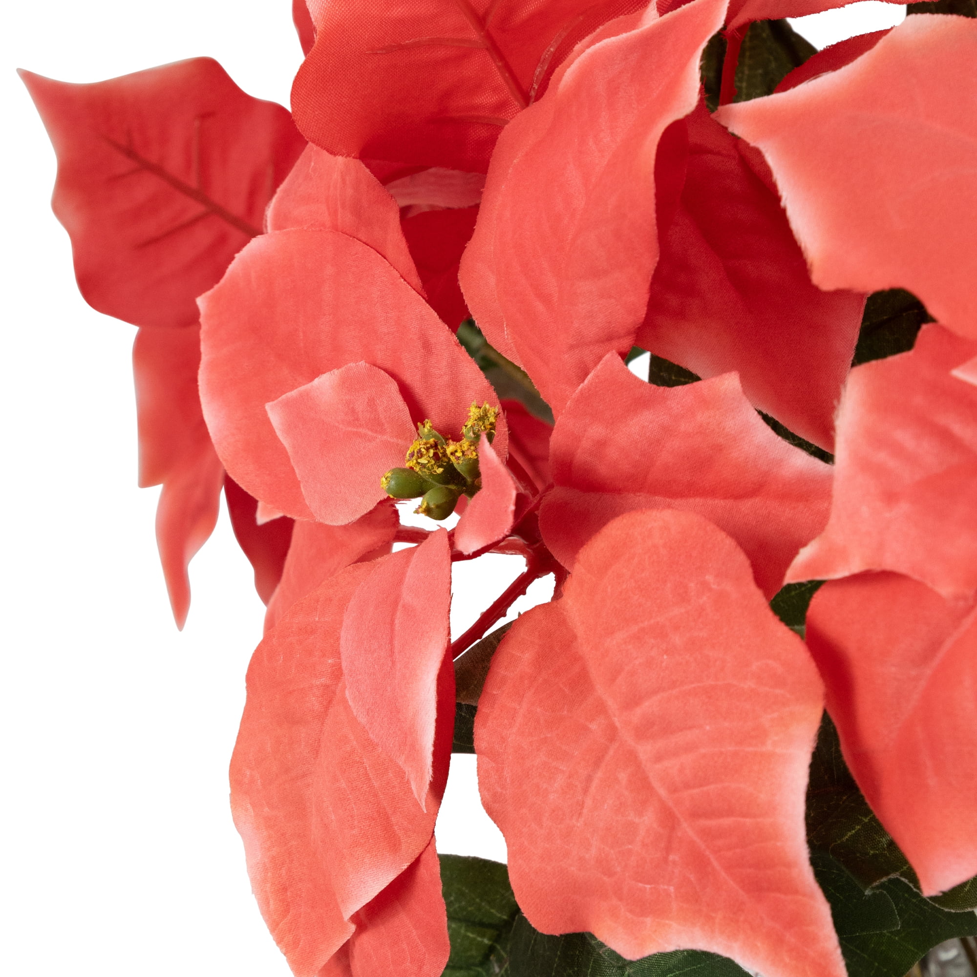 Northlight Artificial Christmas Poinsettia with Wrapped Base - 20" - Pink