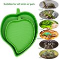 thumbnail image 5 of Bebedero y cuenco de agua de 2 piezas Sailing Bandeja para reptiles Mascotas pequeñas Verde, 5 of 5