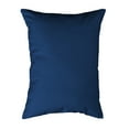 thumbnail image 2 of Betsy Drake Interiors HJ1431 16 x 20 in. Windy Louisiana Heron Large Indoor & Outdoor Pillow, 2 of 2