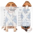 thumbnail image 3 of Dog Clothes,Pet Shirt Printed Clothes,Soft Light & Breathable,Soccer Theme Dog Top for Daily Pet Wear,Outdoor Walking Outfit,Pet Party Apparel, 3 of 5