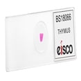 thumbnail image 2 of 10PK Thymus, Cross Section - Prepared Microscope Slides - Classroom Pack, 10 Slides in Storage Case - Biology & Microscopy - Eisco Labs, 2 of 3