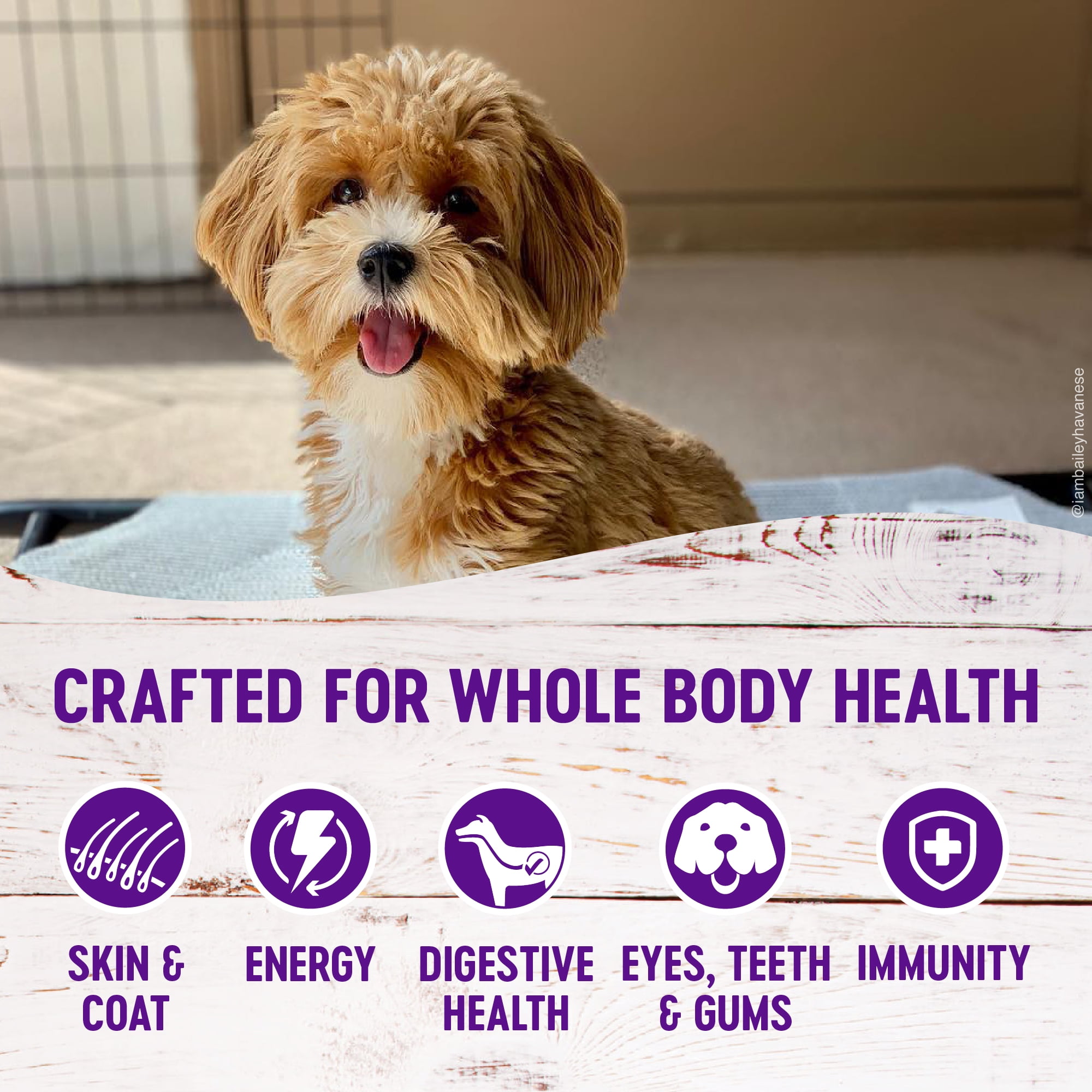 wellness complete health natural dry small breed dog food