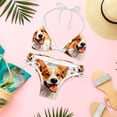 thumbnail image 6 of Corgi Dog Detachable Sponge Adjustable Strap Bikini Set Two-Pack - Swimwear for Two, Beach Vacation Essentials!, 6 of 6