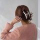 thumbnail image 3 of 3Pcs Hair Claw Clips for Women,Pearl Claw Hair Clips Non Slip Hair Clip Jaw Clips Styling Accessories for Women Girls, 3 of 4