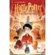 thumbnail image 1 of Harry Potter y el cáliz de fuego ( Harry Potter edición con ilustraciones de Xavier Bonet 4 ), 1 of 1