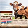 thumbnail image 3 of Parrox Colostrum Powder with 40% IgG, Collagen, Probiotics, Burdock Root,  L-Glutamine, Elderberry, Vitamin C, Vitamin E, Vitamin D3, Inulin, Selenium, Dandelion Root, Zinc, 60 Servings (Chocolate), 3 of 8