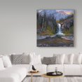 thumbnail image 3 of Trademark Fine Art 'Griz at Pitamakan' Canvas Art by Allen Jimmerson, 3 of 3