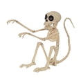 thumbnail image 1 of Seasons 9080713 Squelette Singe Halloween Décor, 1 of 1