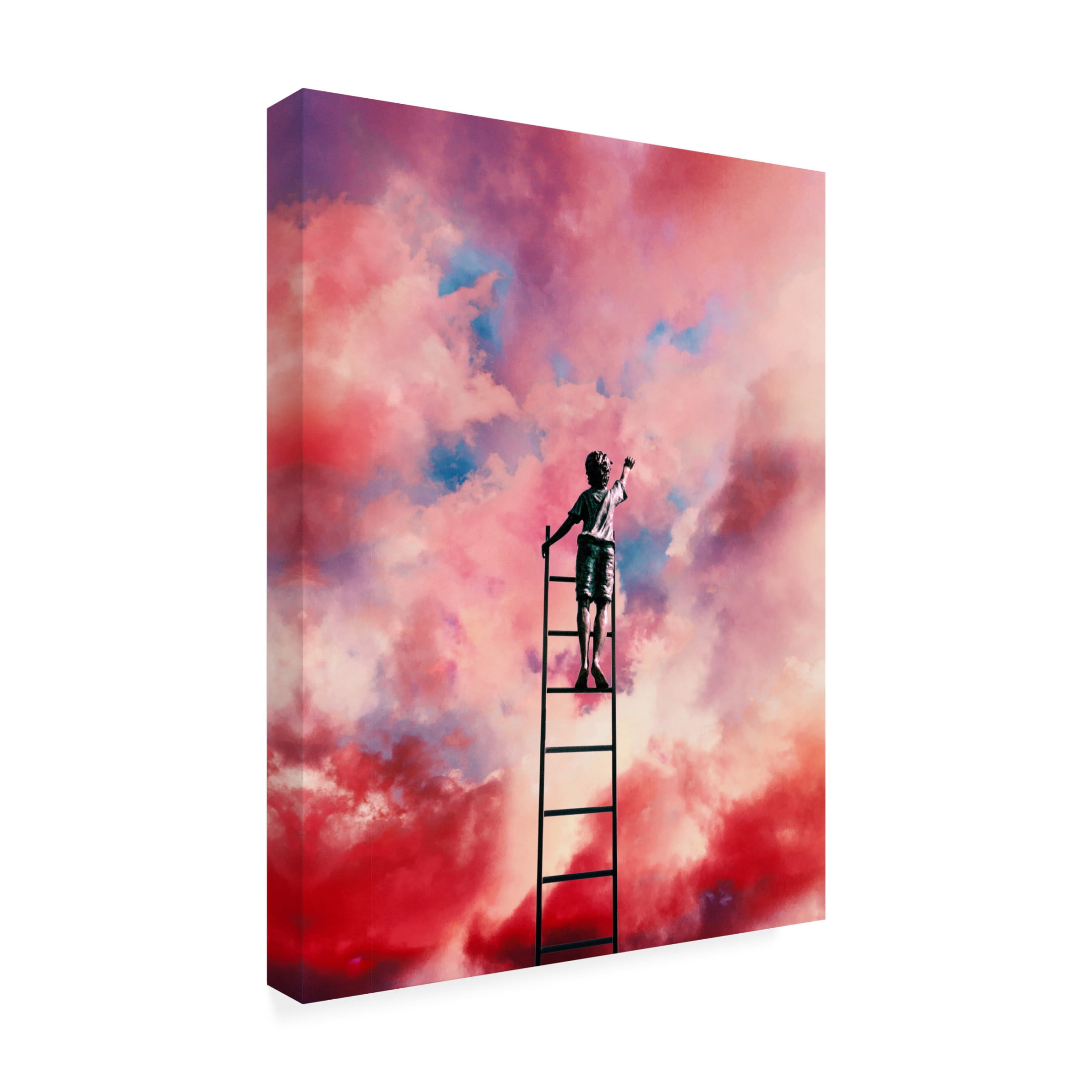 Trademark Fine Art Taudalpoi Cloud Painter Canvas Wall Art