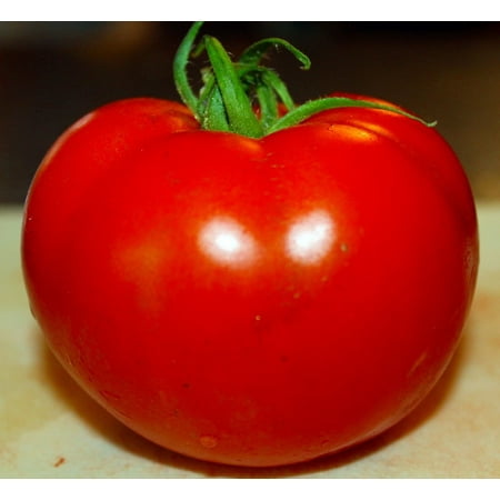 tomato celebrity glossy seeds plants resistant disease slicing tomatoes bright hybrid fooled jalapeno pepper leisuretimery burpee dialog displays option button