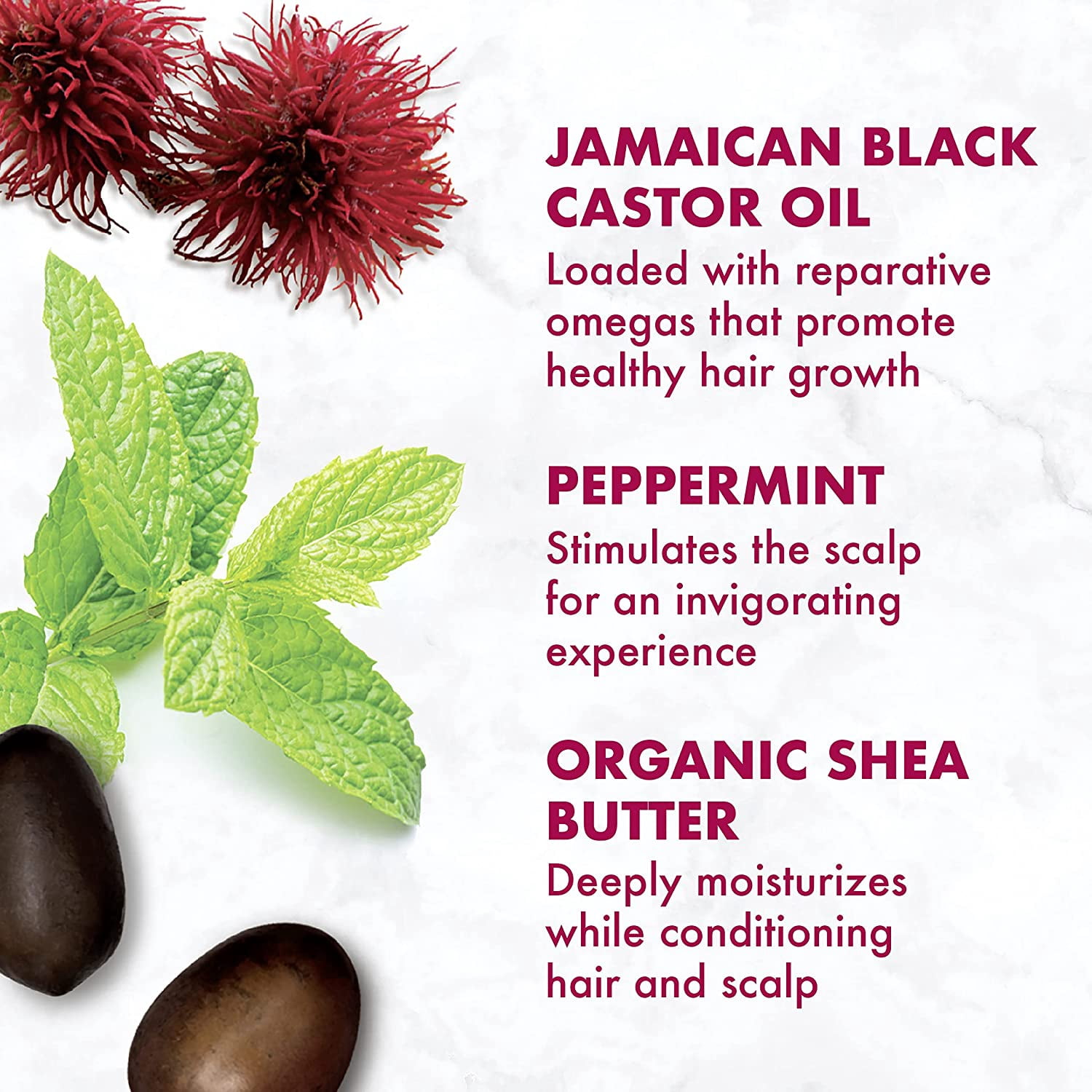 Shea Moisture Strengthen Jamaican Black Castor Oil Set Shampoo  Conditioner