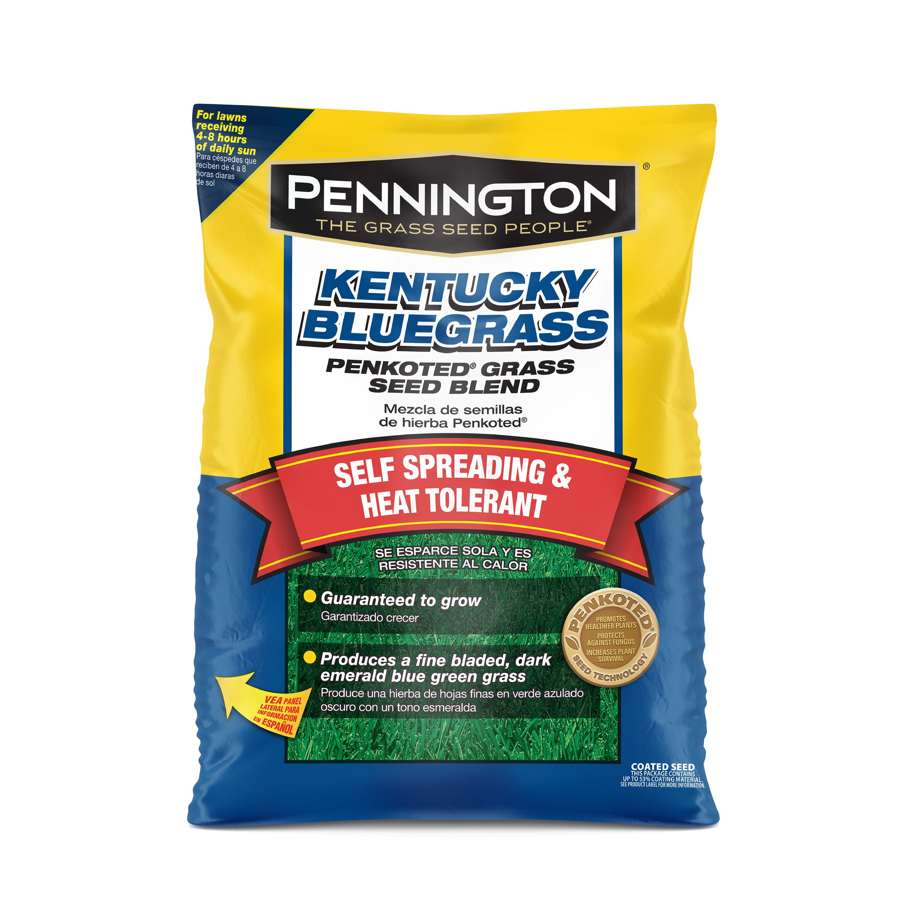 Pennington Kentucky Bluegrass Grass Seed for Northern Lawns; 7 lb