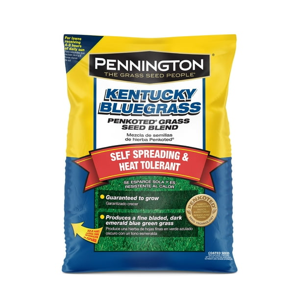 Pennington Kentucky Bluegrass Grass Seed for Northern Lawns; 7 lb